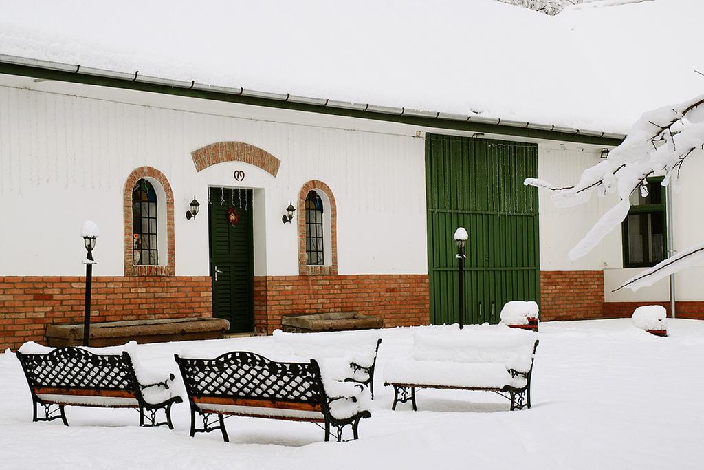 בית הארחה Villánykövesd 	Florian Vendeghaz מראה חיצוני תמונה